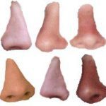 New Oddball Crime Wave: Burglars Stealing Noses